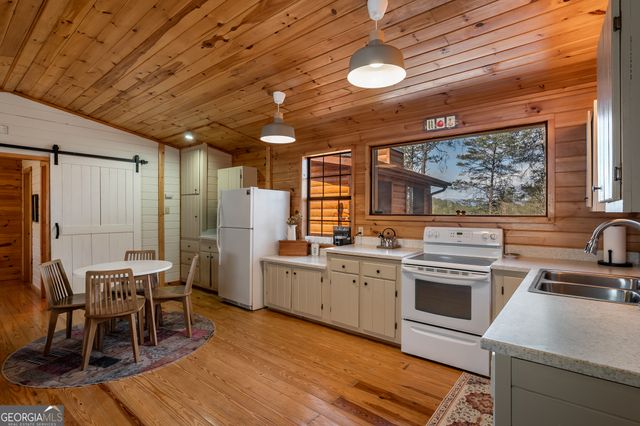 233 River Hills Road, Mineral Bluff, GA 30559