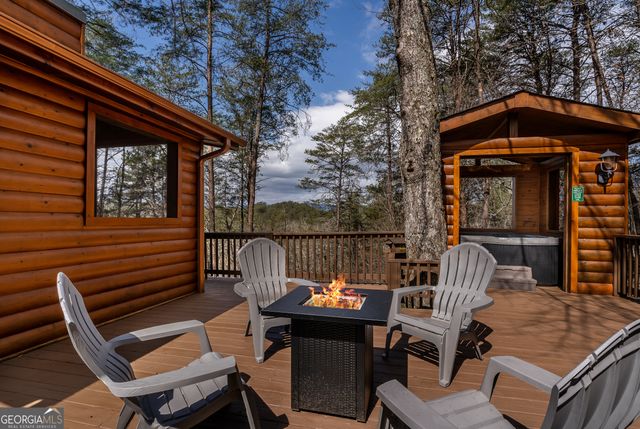 233 River Hills Road, Mineral Bluff, GA 30559