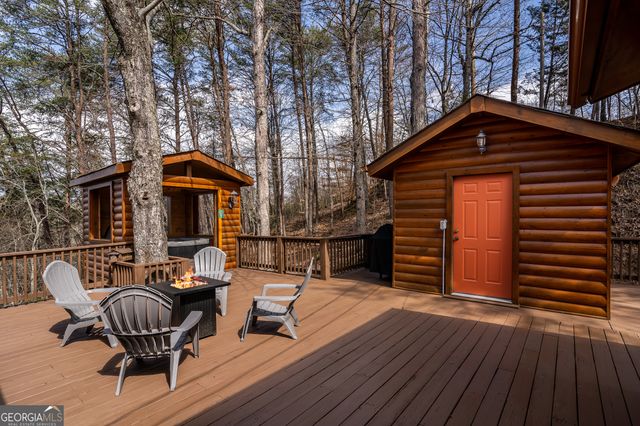 233 River Hills Road, Mineral Bluff, GA 30559