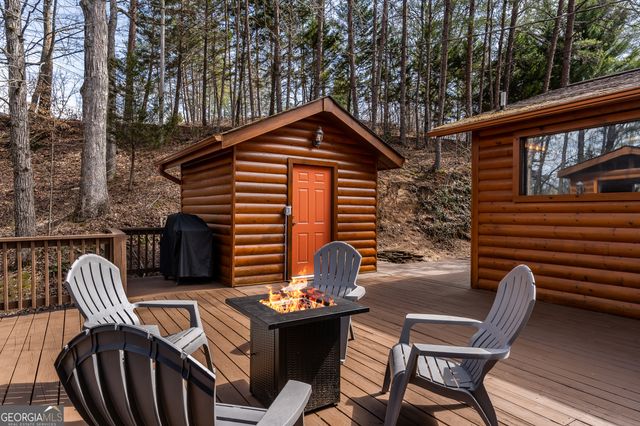 233 River Hills Road, Mineral Bluff, GA 30559