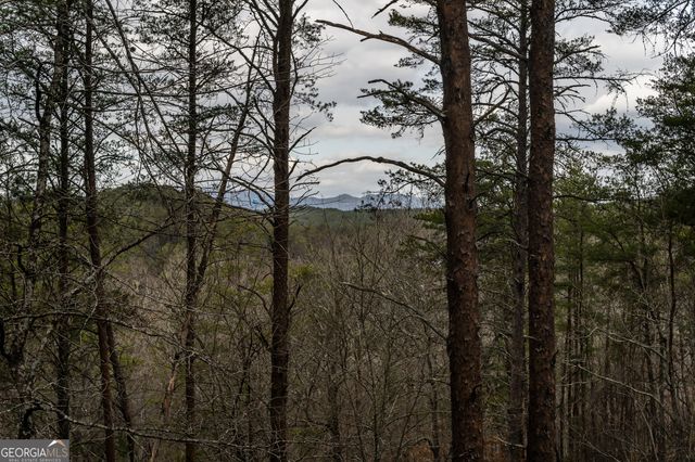 233 River Hills Road, Mineral Bluff, GA 30559
