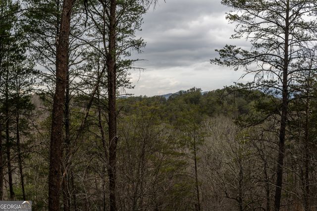 233 River Hills Road, Mineral Bluff, GA 30559