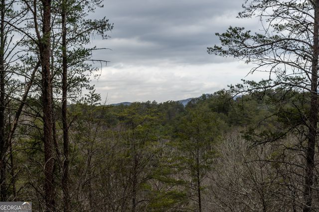 233 River Hills Road, Mineral Bluff, GA 30559