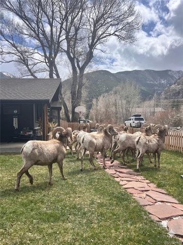 1414 Rose Street, Georgetown, CO 80444