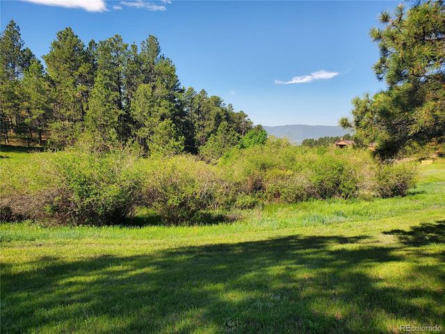 18475 west Road, Monument, CO 80132