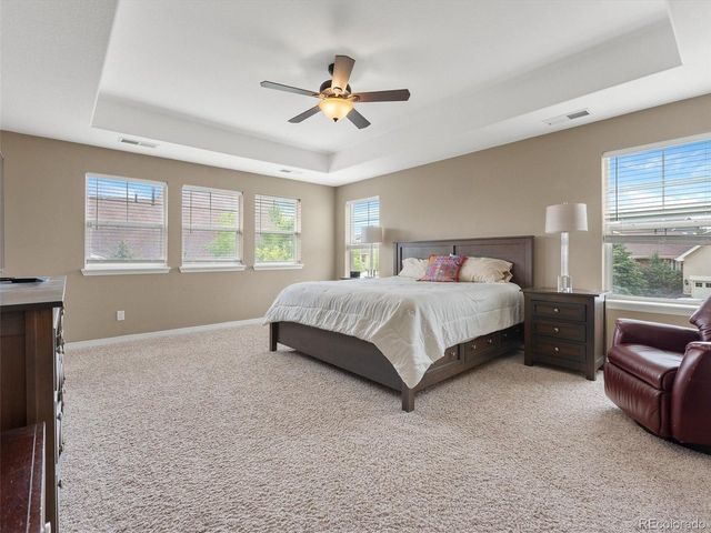 3919 Desert Ridge Cir, Castle Rock, CO 80108