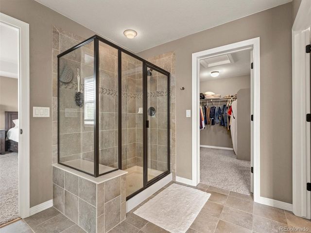 3919 Desert Ridge Cir, Castle Rock, CO 80108