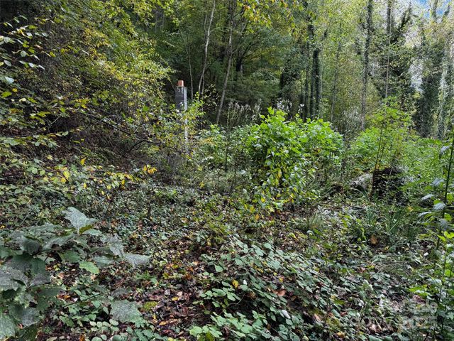 1261 Asheville Highway, Canton, NC 28716