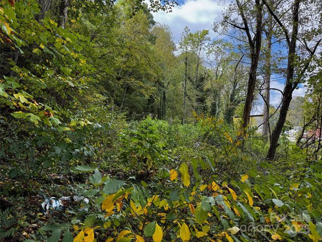 1261 Asheville Highway, Canton, NC 28716