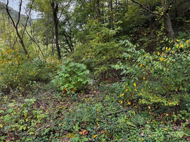 1261 Asheville Highway, Canton, NC 28716