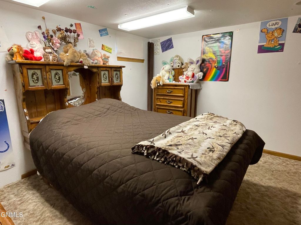 13802 Highway 85 N, Alexander, ND 58831 photo 26