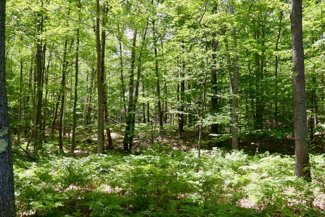 6182 Hamilton Road, Harrison, MI 48625