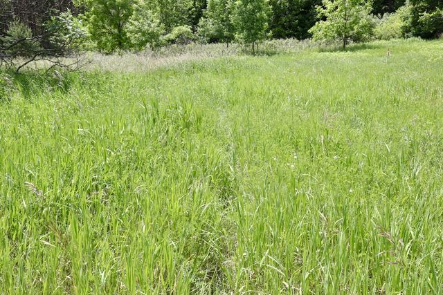6182 Hamilton Road, Harrison, MI 48625