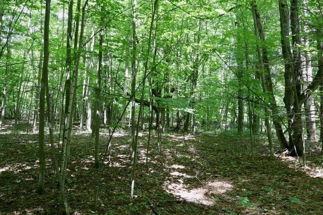 6182 Hamilton Road, Harrison, MI 48625