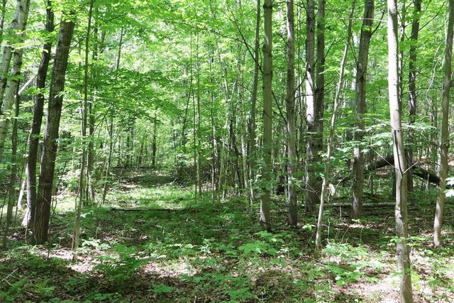 6182 Hamilton Road, Harrison, MI 48625
