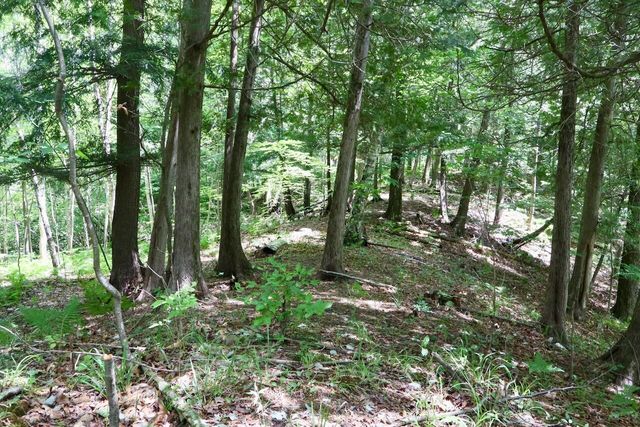 6182 Hamilton Road, Harrison, MI 48625