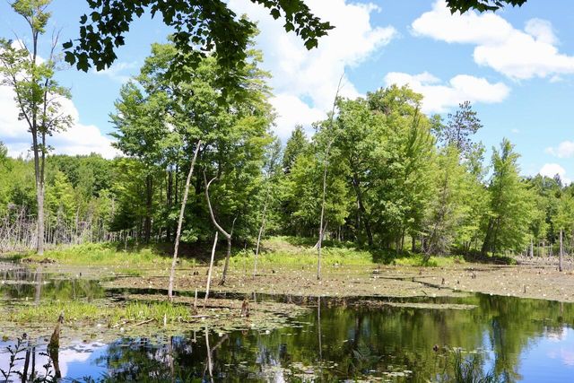 6182 Hamilton Road, Harrison, MI 48625