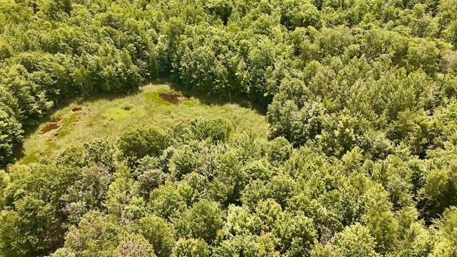 6182 Hamilton Road, Harrison, MI 48625