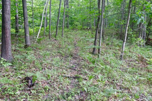 6182 Hamilton Road, Harrison, MI 48625