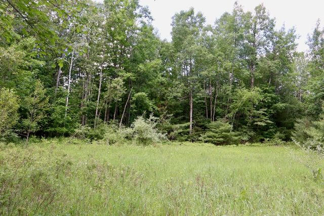 6182 Hamilton Road, Harrison, MI 48625