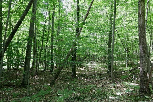 6182 Hamilton Road, Harrison, MI 48625