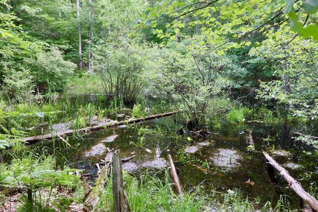 6182 Hamilton Road, Harrison, MI 48625