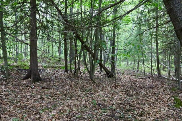 6182 Hamilton Road, Harrison, MI 48625