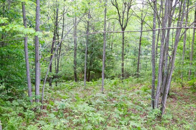 6182 Hamilton Road, Harrison, MI 48625