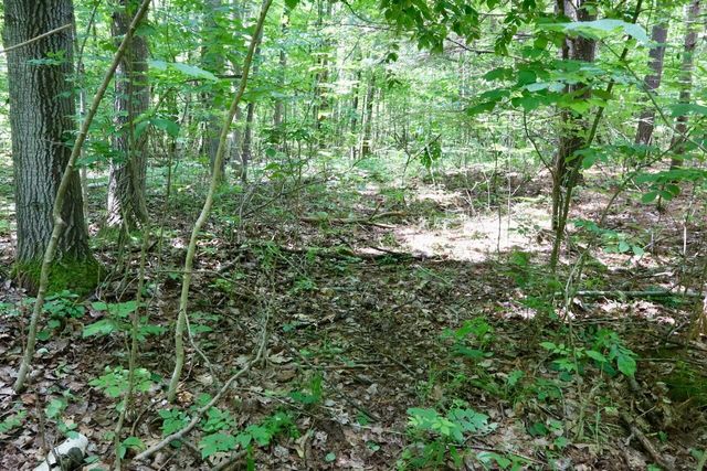 6182 Hamilton Road, Harrison, MI 48625