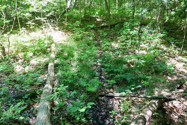 6182 Hamilton Road, Harrison, MI 48625
