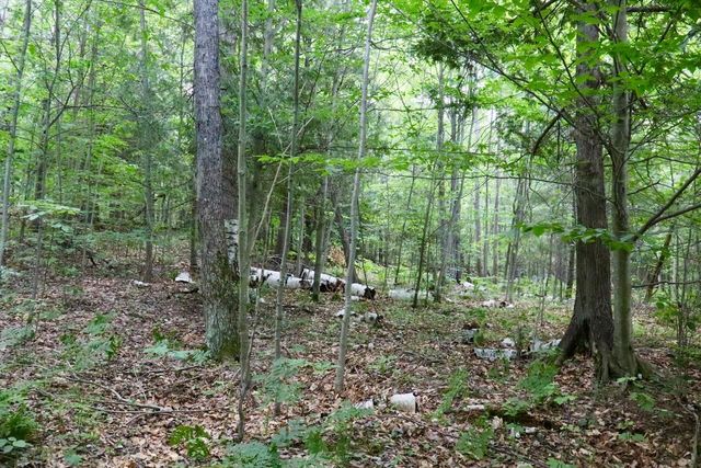 6182 Hamilton Road, Harrison, MI 48625