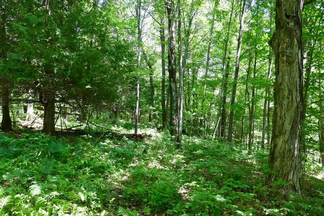 6182 Hamilton Road, Harrison, MI 48625