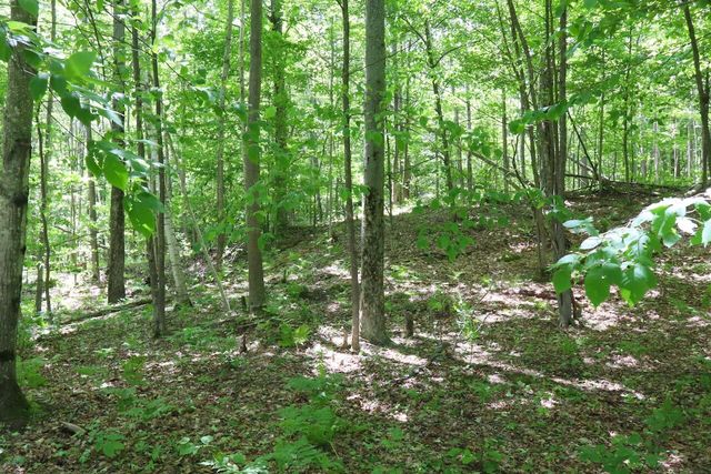 6182 Hamilton Road, Harrison, MI 48625