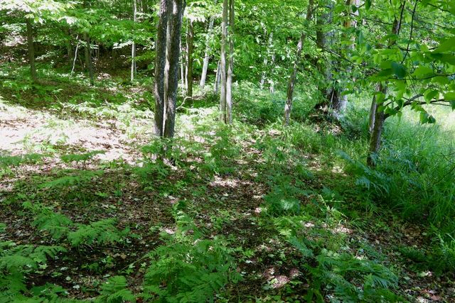 6182 Hamilton Road, Harrison, MI 48625