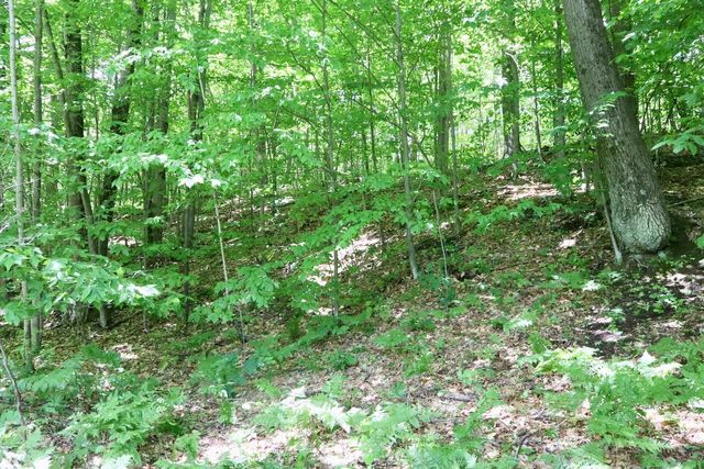6182 Hamilton Road, Harrison, MI 48625