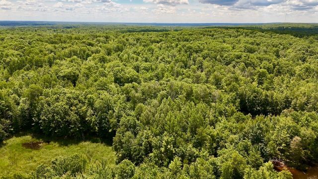 6182 Hamilton Road, Harrison, MI 48625