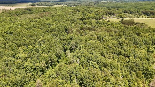 6182 Hamilton Road, Harrison, MI 48625