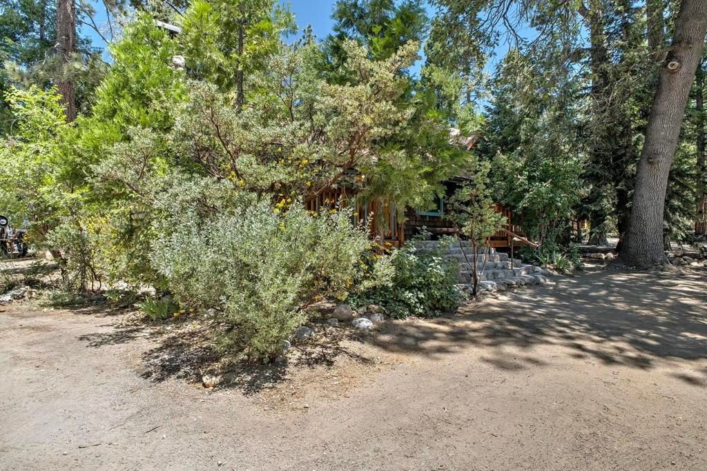 Image 38 of property listing at 54730 River Drive, Idyllwild, CA 92549