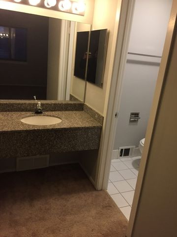 1933 Song Sparrow Court, Schaumburg, IL 60173