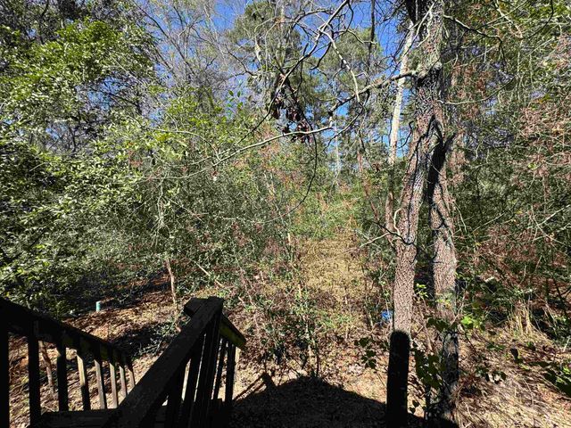 326 Blue Water Ln, Holly Lake Ranch, TX 75765