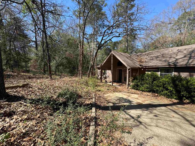 326 Blue Water Ln, Holly Lake Ranch, TX 75765