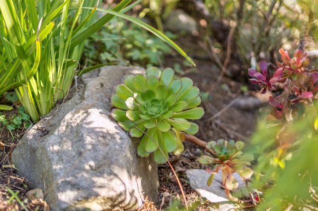 5460 Carlton St, Oakland, CA 94618