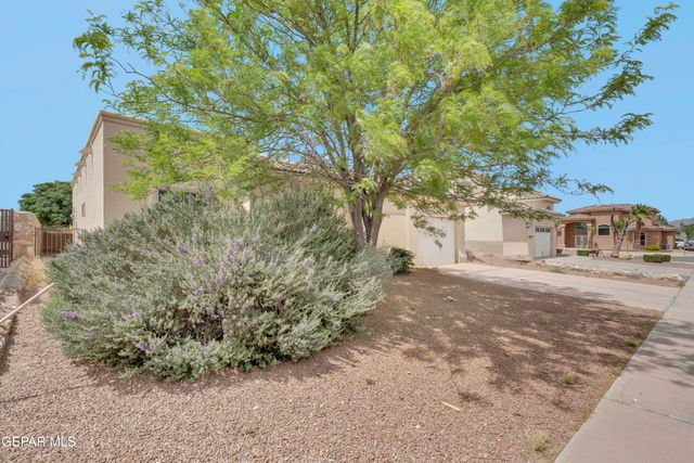 810 BONNIE Court, Sunland Park, NM 88063