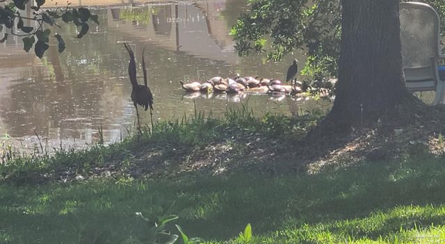 11424 High Springs Rd, Pensacola, FL 32534