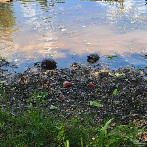 11424 High Springs Rd, Pensacola, FL 32534