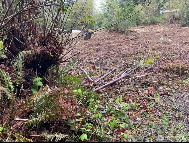 0 LOT State Route 3, Belfair, WA 98528