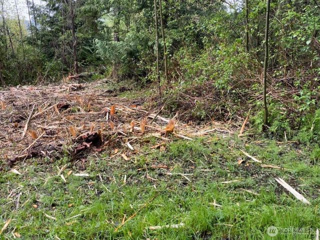 0 LOT State Route 3, Belfair, WA 98528