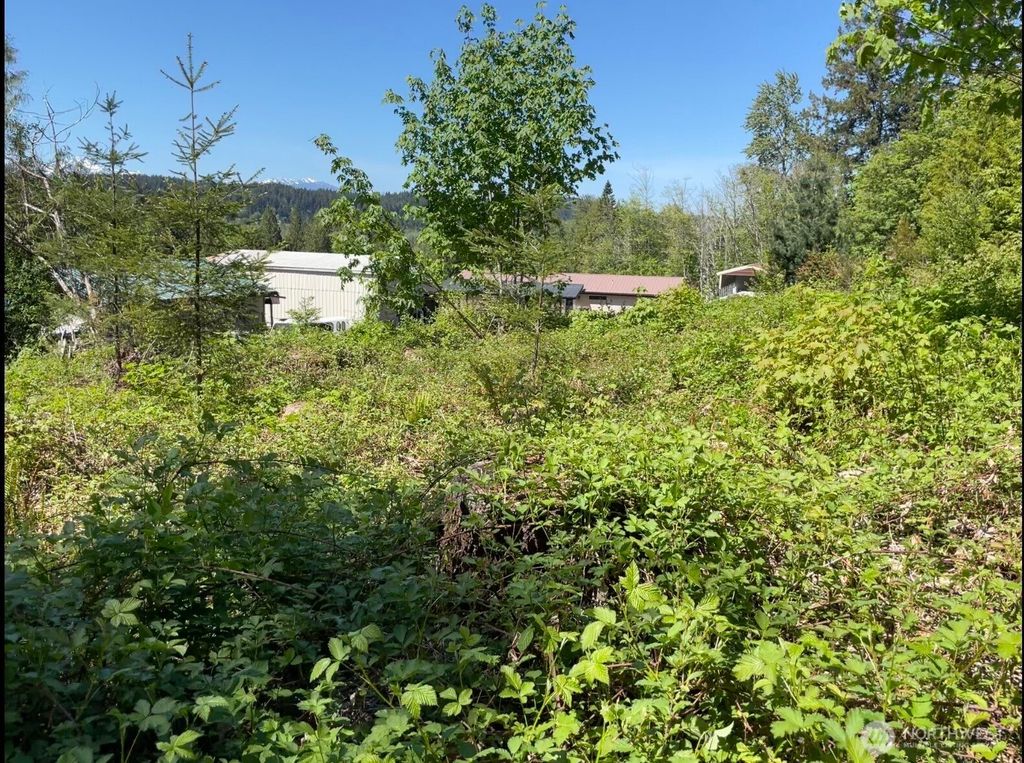 0 LOT State Route 3, Belfair, WA 98528