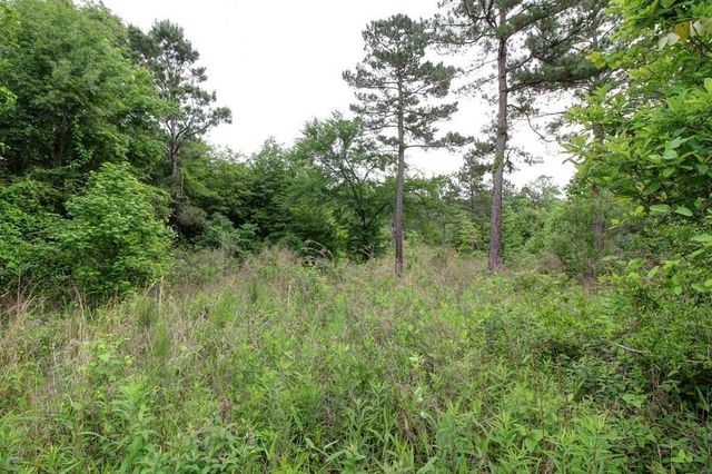618 Cr 2619, Alto, TX 75925