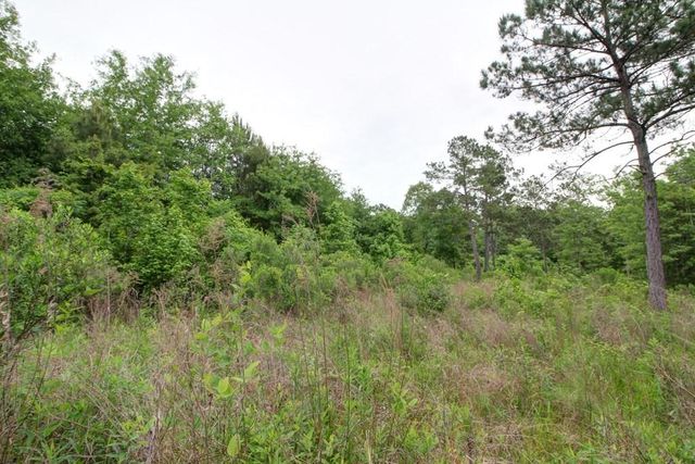 618 Cr 2619, Alto, TX 75925